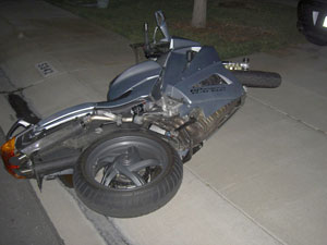 Billy Futura had the presence of mind to take its picture before trying to pick it up
